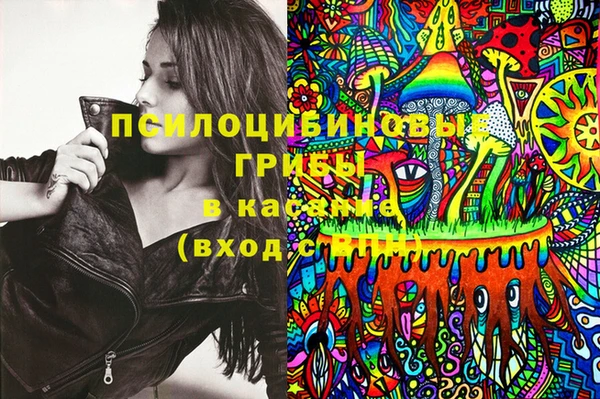 мет Каменногорск