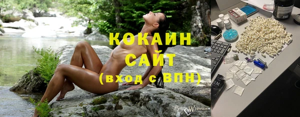 стафф Каменка