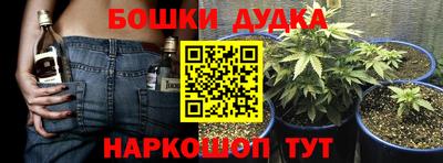 шишки Северобайкальск