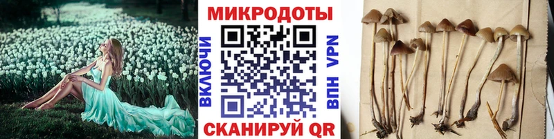 купить наркотики цена  Пермь  Галлюциногенные грибы Psilocybine cubensis 